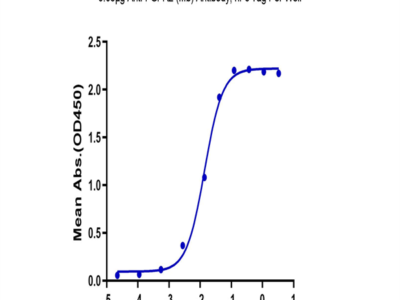 Biotinylated Human FGFR2 beta (IIIb) Domain Protein (FGF-HM4BDB)