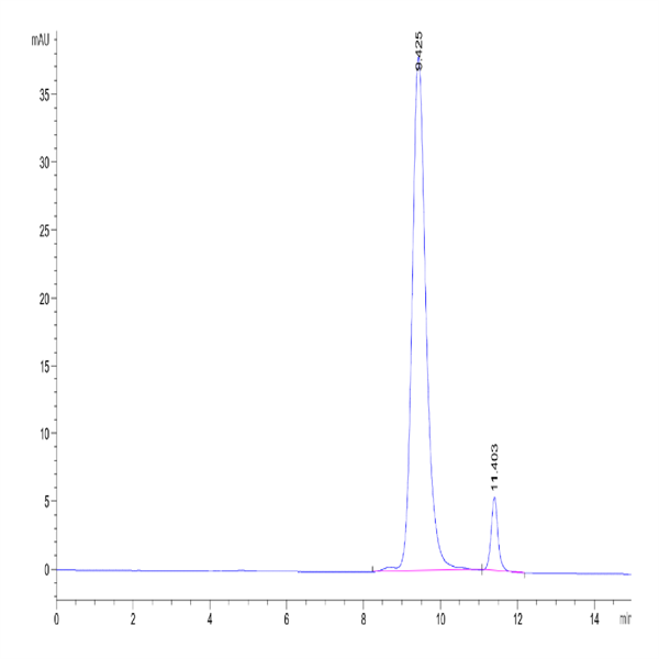 Biotinylated Human FGFR2 beta (IIIb) Domain Protein (FGF-HM4BDB)