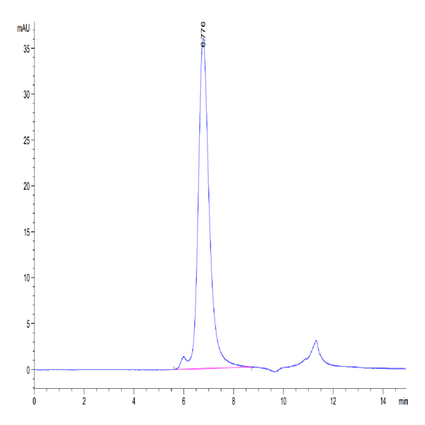 Biotinylated Human FGFR4 Protein (FGF-HM4R4B) Biotinylated Human FGFR4 Protein (FGF-HM4R4B)