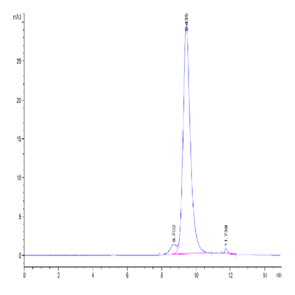 Human FGFR4 beta Protein (FGF-HM4RB) Human FGFR4 beta Protein (FGF-HM4RB)