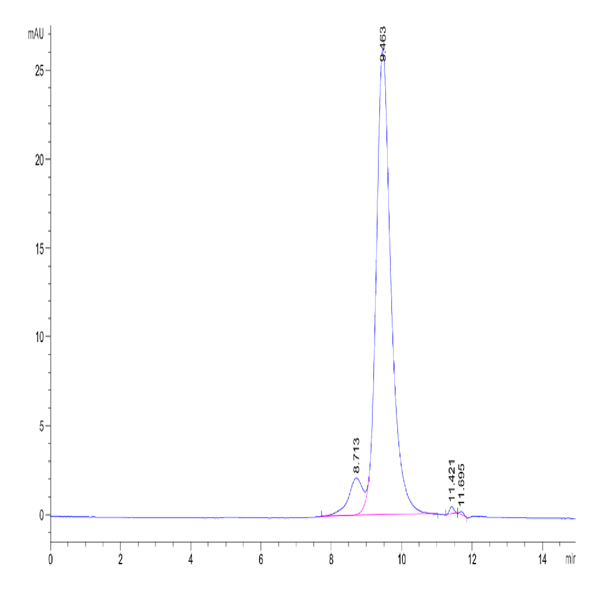 Biotinylated Human FGFR4 beta Protein (FGF-HM4RBB) Biotinylated Human FGFR4 beta Protein (FGF-HM4RBB)