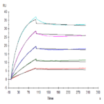 Human FGF21 Protein (FGF-HM621)