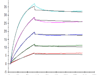 Human FGF21 Protein (FGF-HM621)