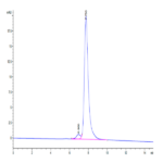 Biotinylated Human FGF21 Protein (FGF-HM621B)