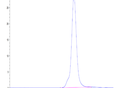 Mouse FGFR2 beta (IIIb) Protein (FGF-MM1BB)