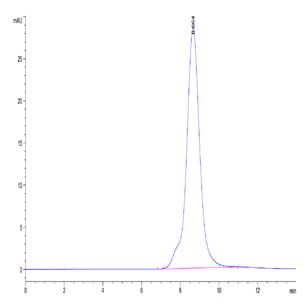Mouse FGFR2 beta (IIIb) Protein (FGF-MM1BB) Mouse FGFR2 beta (IIIb) Protein (FGF-MM1BB)