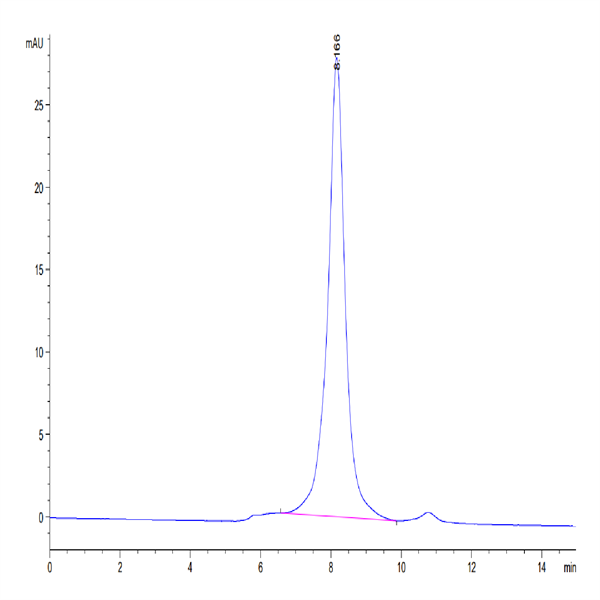 Mouse FGFR3 alpha (IIIb) Protein (FGF-MM43B) Mouse FGFR3 alpha (IIIb) Protein (FGF-MM43B)