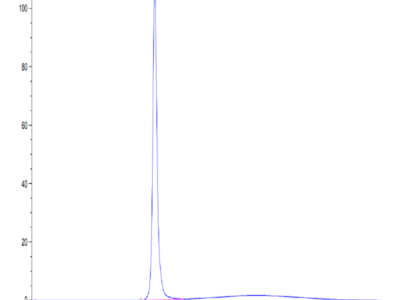 Cynomolgus FGL1 Protein (FGL-CM211)