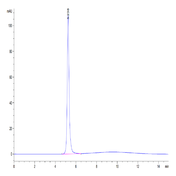 Cynomolgus FGL1 Protein (FGL-CM211)