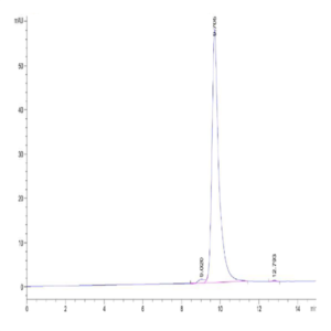 Cynomolgus FGL2 Protein (FGL-CM612)
