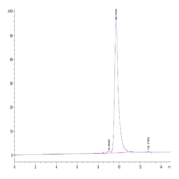 Cynomolgus FGL2 Protein (FGL-CM612)