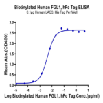 Biotinylated Human FGL1 Protein (Primary Amine Labeling) (FGL-HM211B)