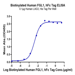 Biotinylated Human FGL1 Protein (Primary Amine Labeling) (FGL-HM211B)