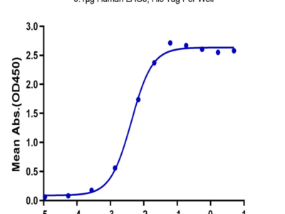 Biotinylated Human FGL1 Protein (Primary Amine Labeling) (FGL-HM211B)