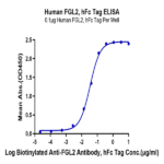 Human FGL2 Protein (FGL-HM212)