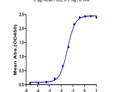 Human FGL2 Protein (FGL-HM212)