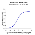 Human FGL1 Protein (FGL-HM411)