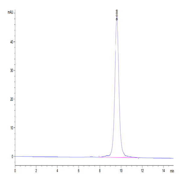 Human FGL1 Protein (FGL-HM411)