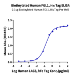 Biotinylated Human FGL1 Protein (FGL-HM411B)