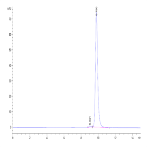 Human FGL2 Protein (FGL-HM612)