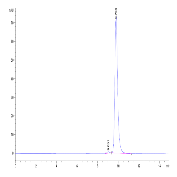 Human FGL2 Protein (FGL-HM612)