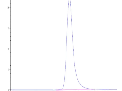 Biotinylated Rat FGL2 Protein (FGL-RM612B)