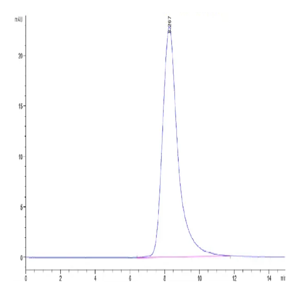 Biotinylated Rat FGL2 Protein (FGL-RM612B) Biotinylated Rat FGL2 Protein (FGL-RM612B)