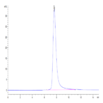 Cynomolgus Fc gamma RIII/CD16 Protein (FGR-CM1R3)
