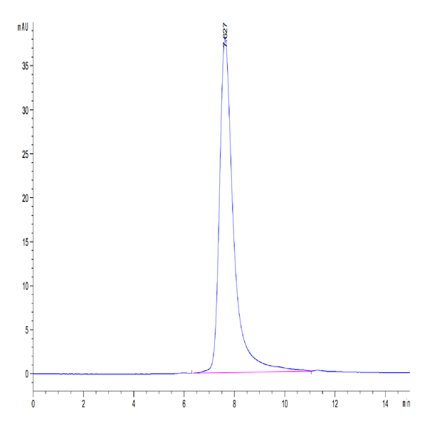 Cynomolgus Fc gamma RIII/CD16 Protein (FGR-CM1R3)