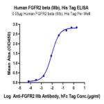 Human FGFR2 beta (IIIb) Protein (FGR-HM1BB)