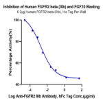 Human FGFR2 beta (IIIb) Protein (FGR-HM1BB)