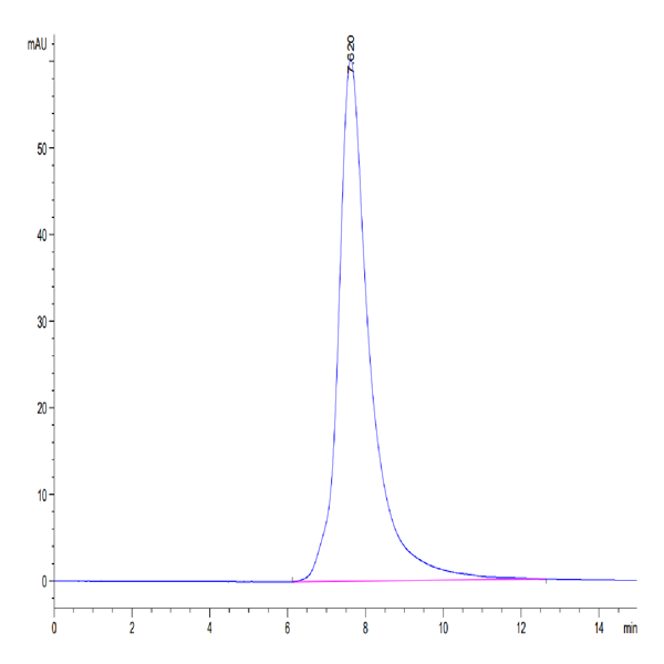 Human FGFR2 beta (IIIb) Protein (FGR-HM1BB)