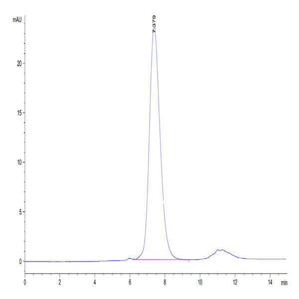 Human FGFR2 beta (IIIc) Protein (FGR-HM1BC) Human FGFR2 beta (IIIc) Protein (FGR-HM1BC)