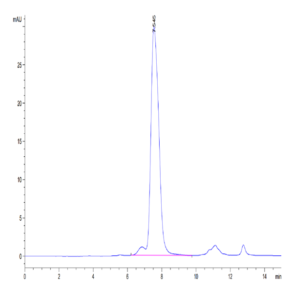 Human FGFR2 alpha (IIIb) Protein (FGR-HM1BD)