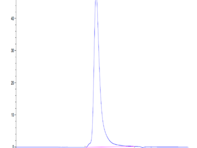 Human FGFR2 alpha (IIIc) Protein (FGR-HM2CD)