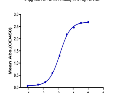 Biotinylated Human FGFR2 beta (IIIb) Protein (FGR-HM4BBB)