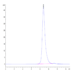 Biotinylated Human FGFR2 beta (IIIb) Protein (FGR-HM4BBB)