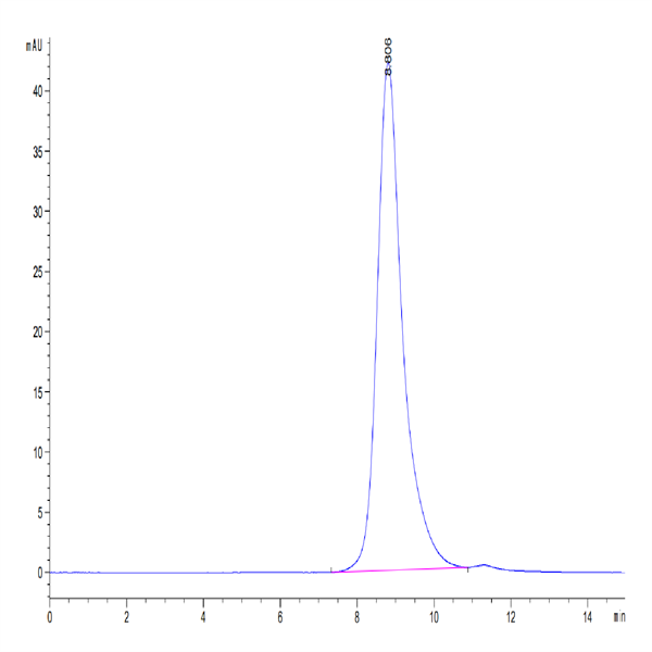Biotinylated Human FGFR2 beta (IIIb) Protein (FGR-HM4BBB)