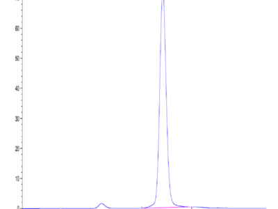 Biotinylated Human FGFR2 beta (IIIc) Protein (FGR-HM4BCB)