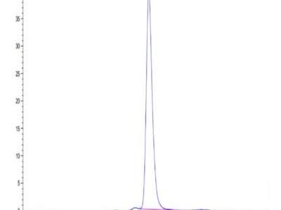 Biotinylated Human FGFR2 alpha (IIIc) Protein (FGR-HM4CDB)