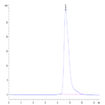 Mouse Fc gamma RIII/CD16 Protein (FGR-MM1R3)