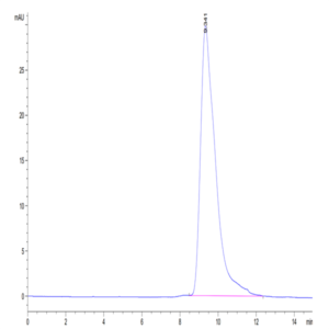 Mouse Fc gamma RIII/CD16 Protein (FGR-MM1R3)