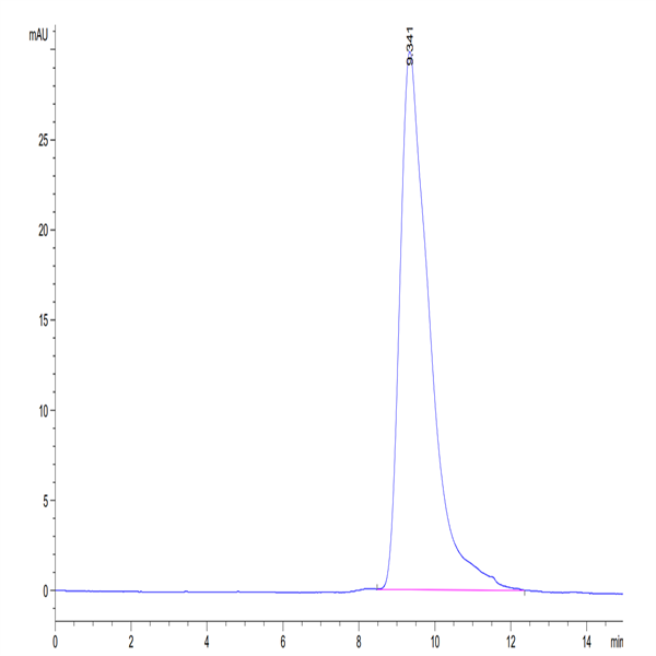 Mouse Fc gamma RIII/CD16 Protein (FGR-MM1R3)