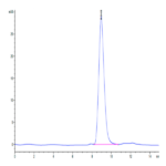 Human Fibronectin (32-345) Protein (FIN-HM101)