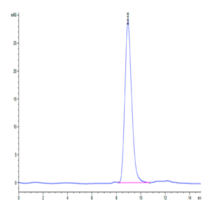 Human Fibronectin (32-345) Protein (FIN-HM101)