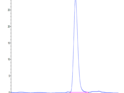 Human Fibronectin (32-345) Protein (FIN-HM101)