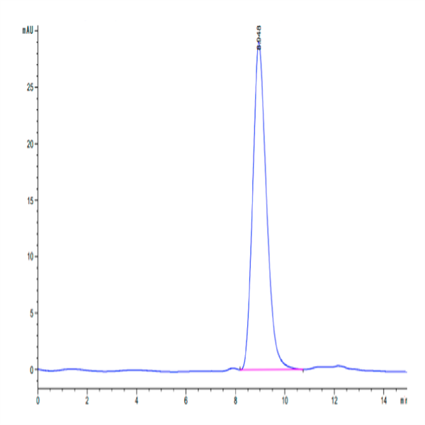Human Fibronectin (32-345) Protein (FIN-HM101) Human Fibronectin (32-345) Protein (FIN-HM101)