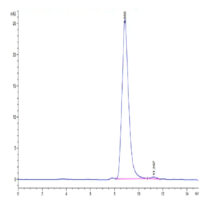 Human Fibronectin (32-602) Protein (FIN-HM102)