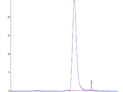 Human Fibronectin (32-602) Protein (FIN-HM102)