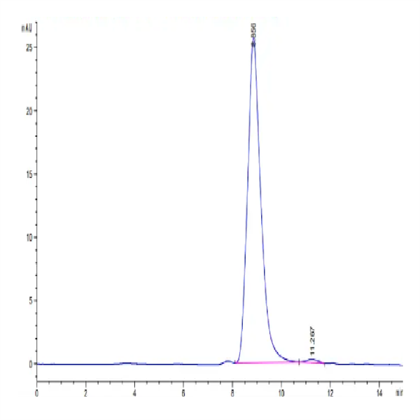 Human Fibronectin (32-602) Protein (FIN-HM102) Human Fibronectin (32-602) Protein (FIN-HM102)